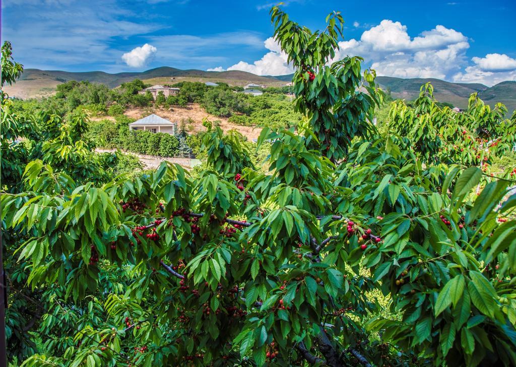 Hyelandz Eco Village Resort Geghadir Buitenkant foto